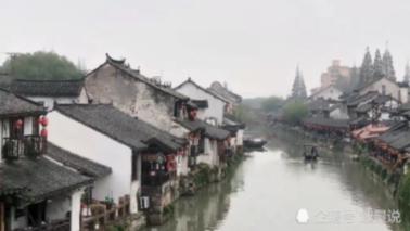 小猪仔要回家